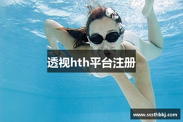 透视hth平台注册